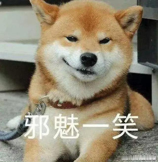 #我用19年证明高考不能决定人生#感觉人生的容错率就是如此，考并不能够决定我们人