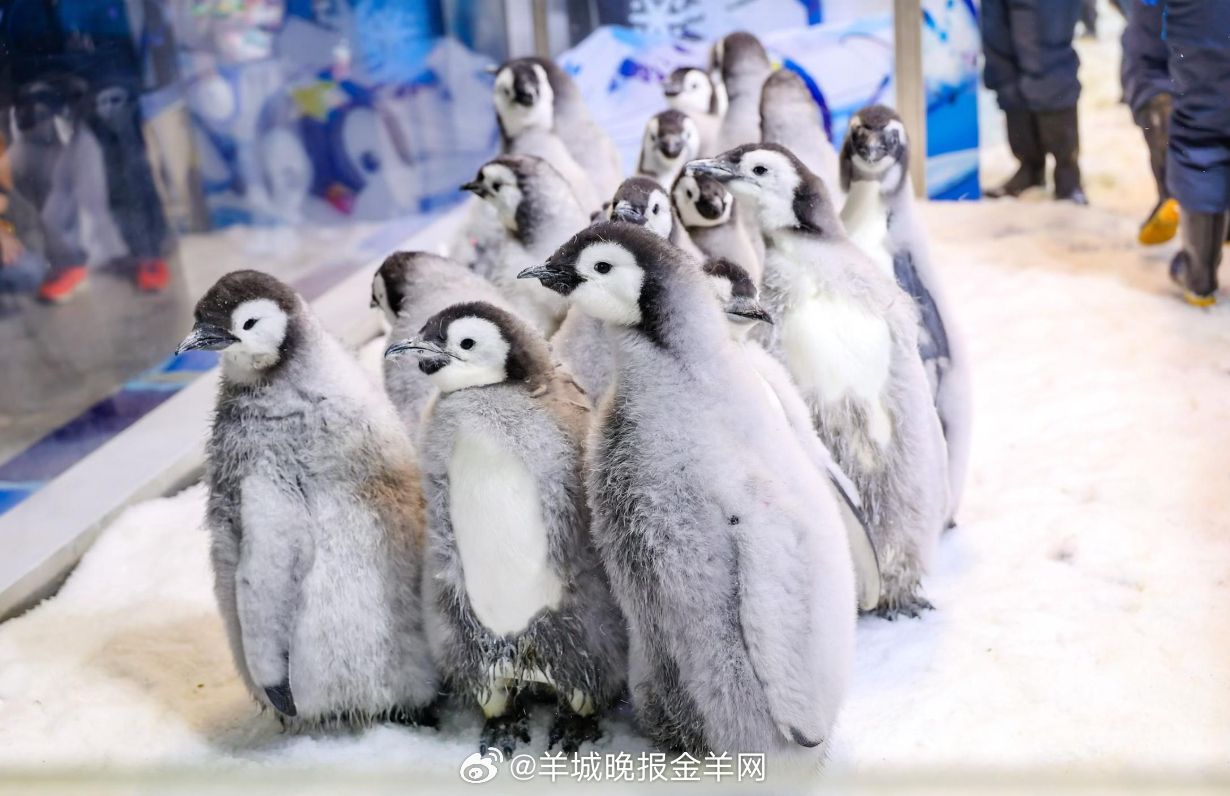  关掉最后一盏灯，暖被裹住细碎暖意。今日的平淡与小确幸都藏进枕边，让晚风捎走倦意