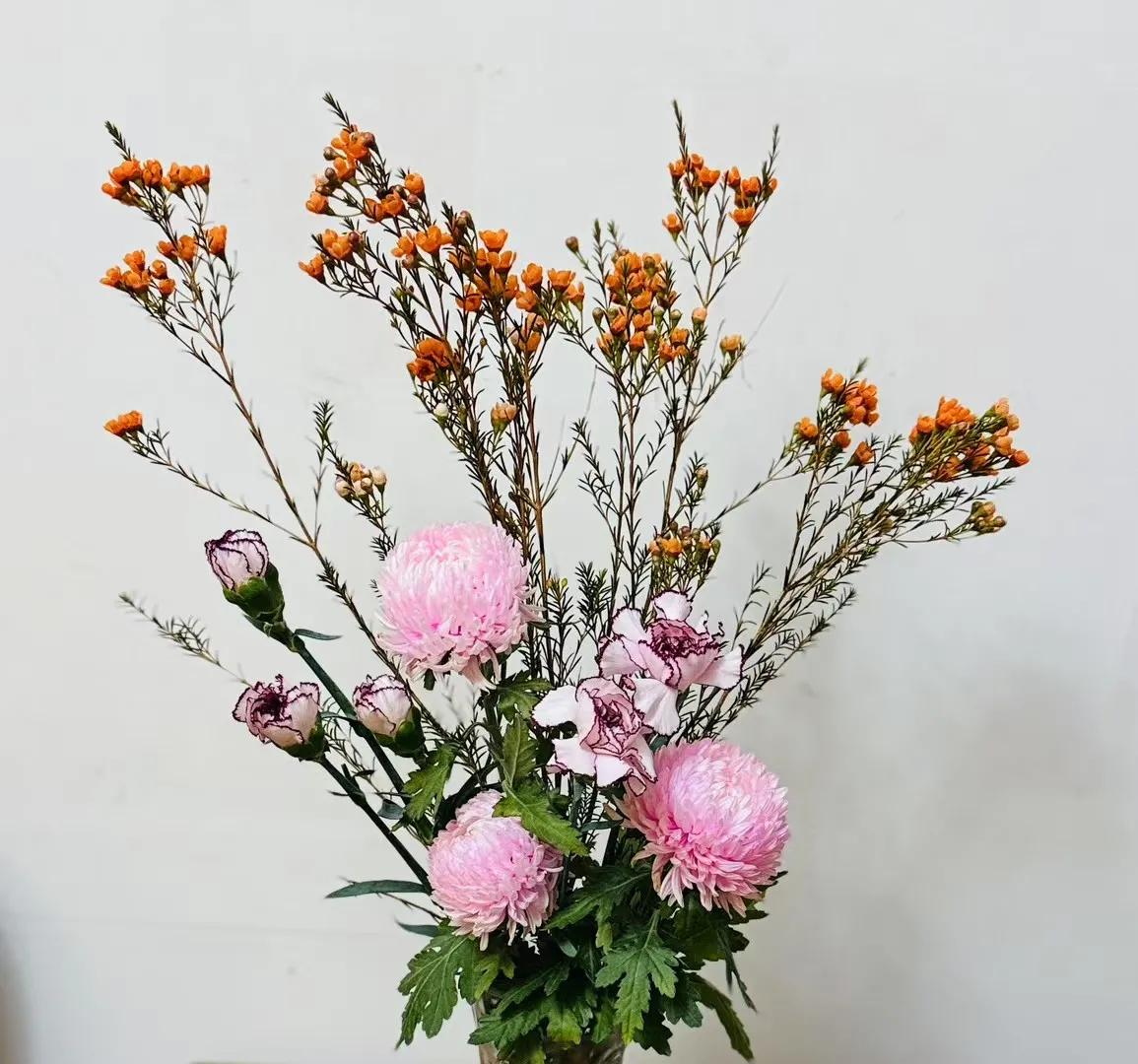 2026第一天，给自己买了花，和家人吃了火锅，逛了街，珍惜平凡的每一天！

欢迎