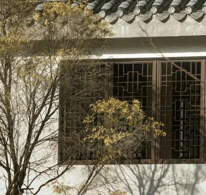 古风背景图｜古风｜新中式｜烟雨江南🎋🍃 