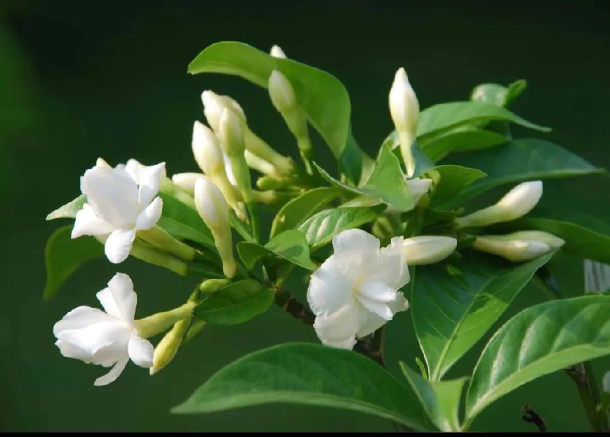 啥叫觉悟？这是一个看起来简单，但又是很深奥的话题。

说起觉悟，似乎就是人们生活