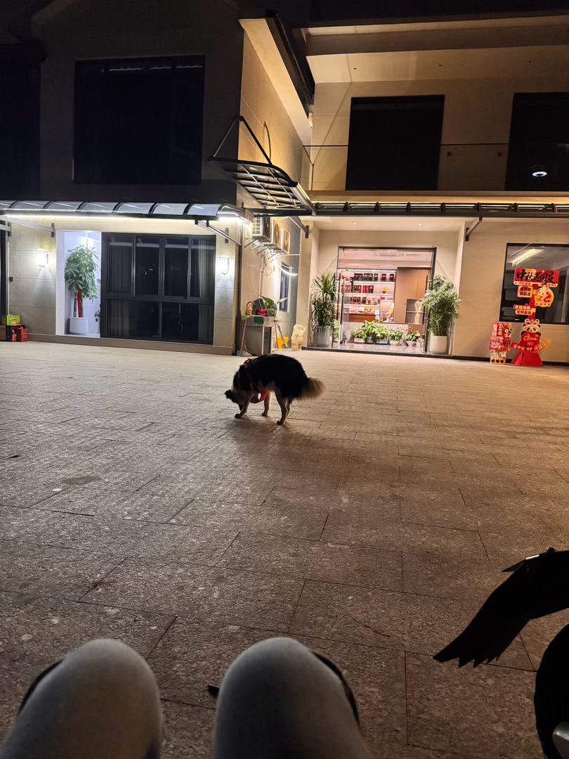 每天都熬夜 受不了了[淡淡的] ​​​