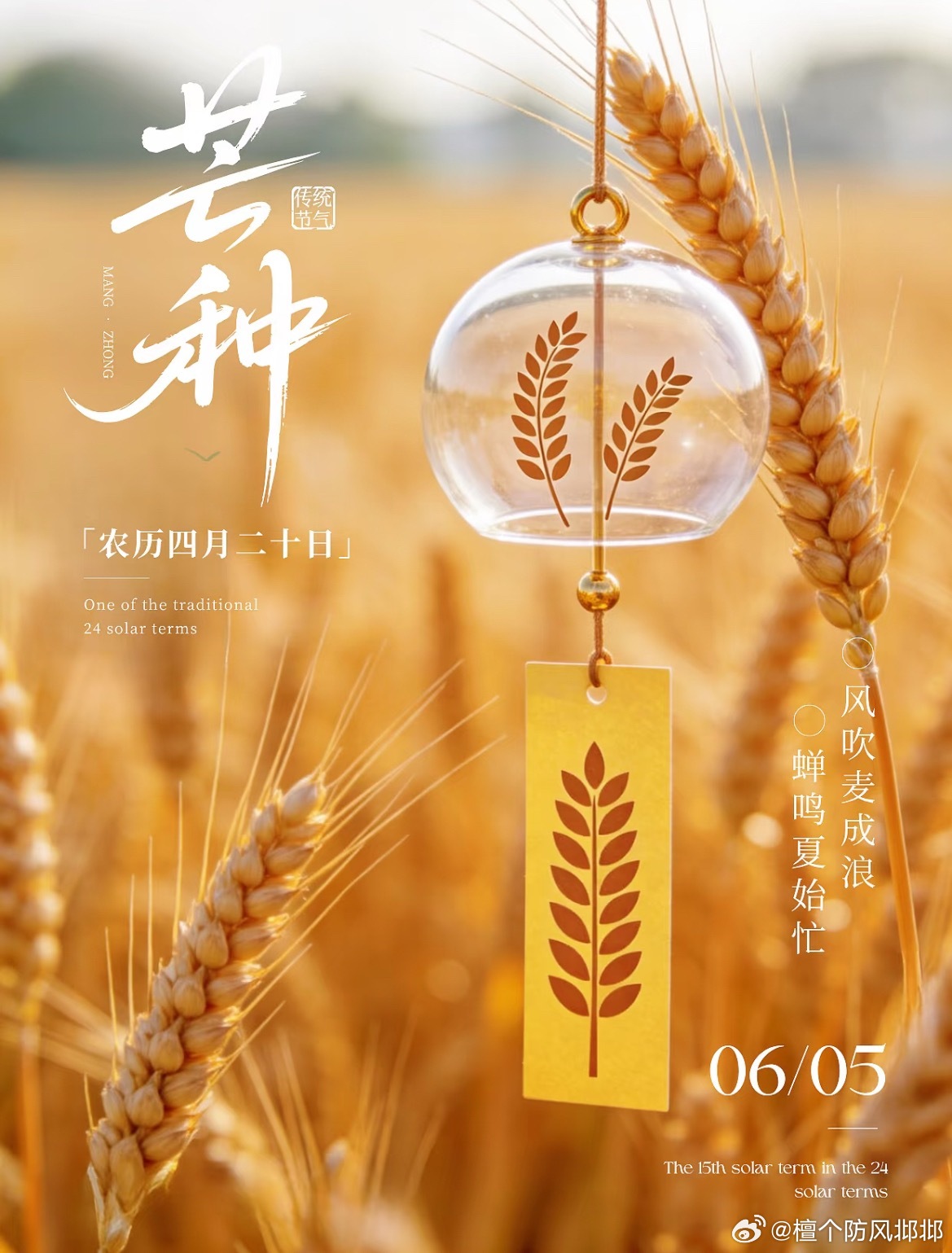 🌾🌾芒种到 忙而不茫~ 有忙有闲才是生活 有收有种才叫日子