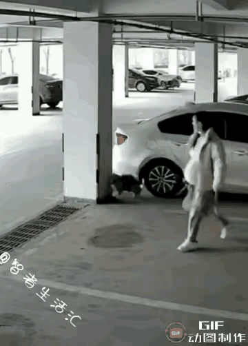 停车场里孕妇被狗追着跑，
保安急得拿棍子驱赶，
所有人都以为是恶犬伤人，
下一秒
