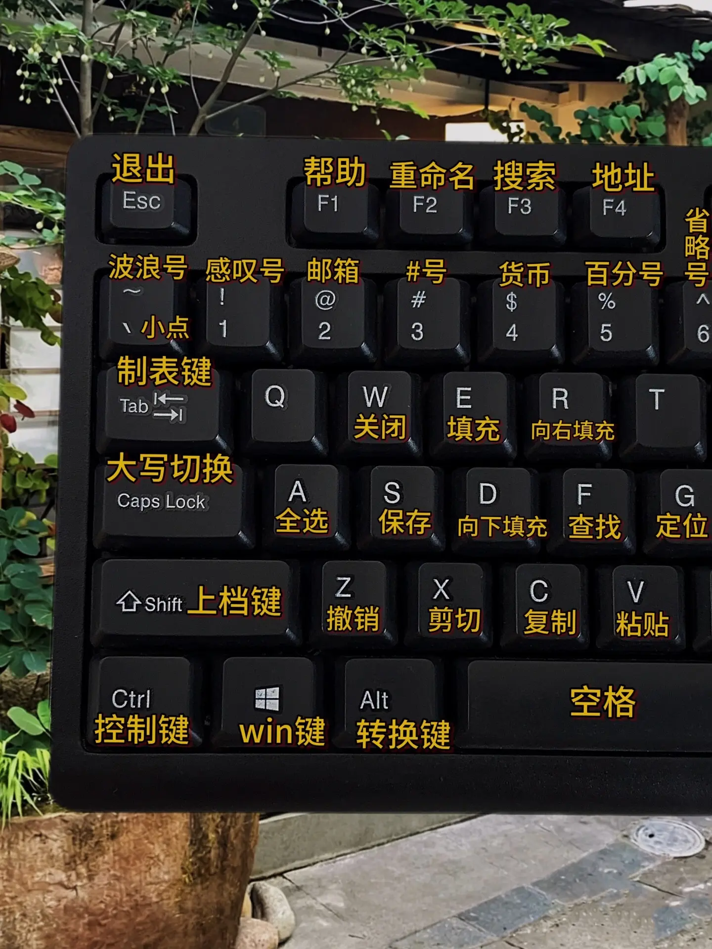 零基础学电脑从认识键盘开始。