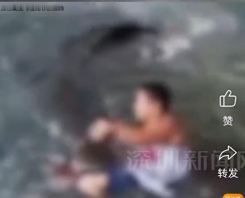 “太可怕”！6月18日，4.5米高鳄鱼观赏区，30岁男子突然抱起3岁男童，直接扔