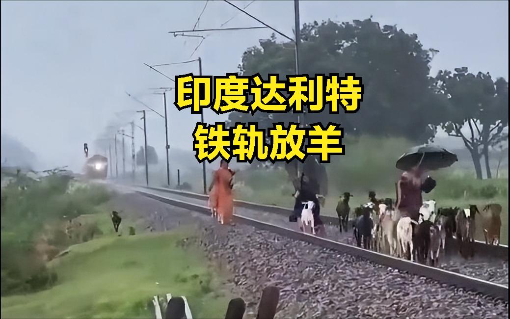 印度博主吐槽：印度火车晚点不能怪列车，要怪太多达利特阻碍运行。这个归因当然粗暴，