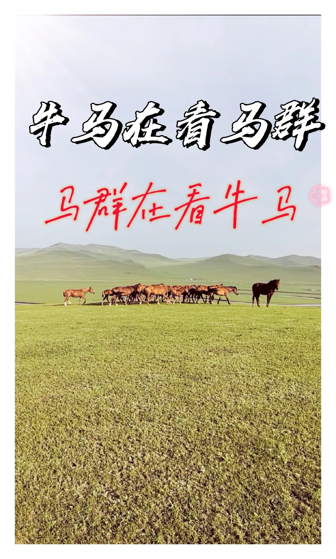诗和远方 一起享受大自然的美 旅行 旅行推荐官