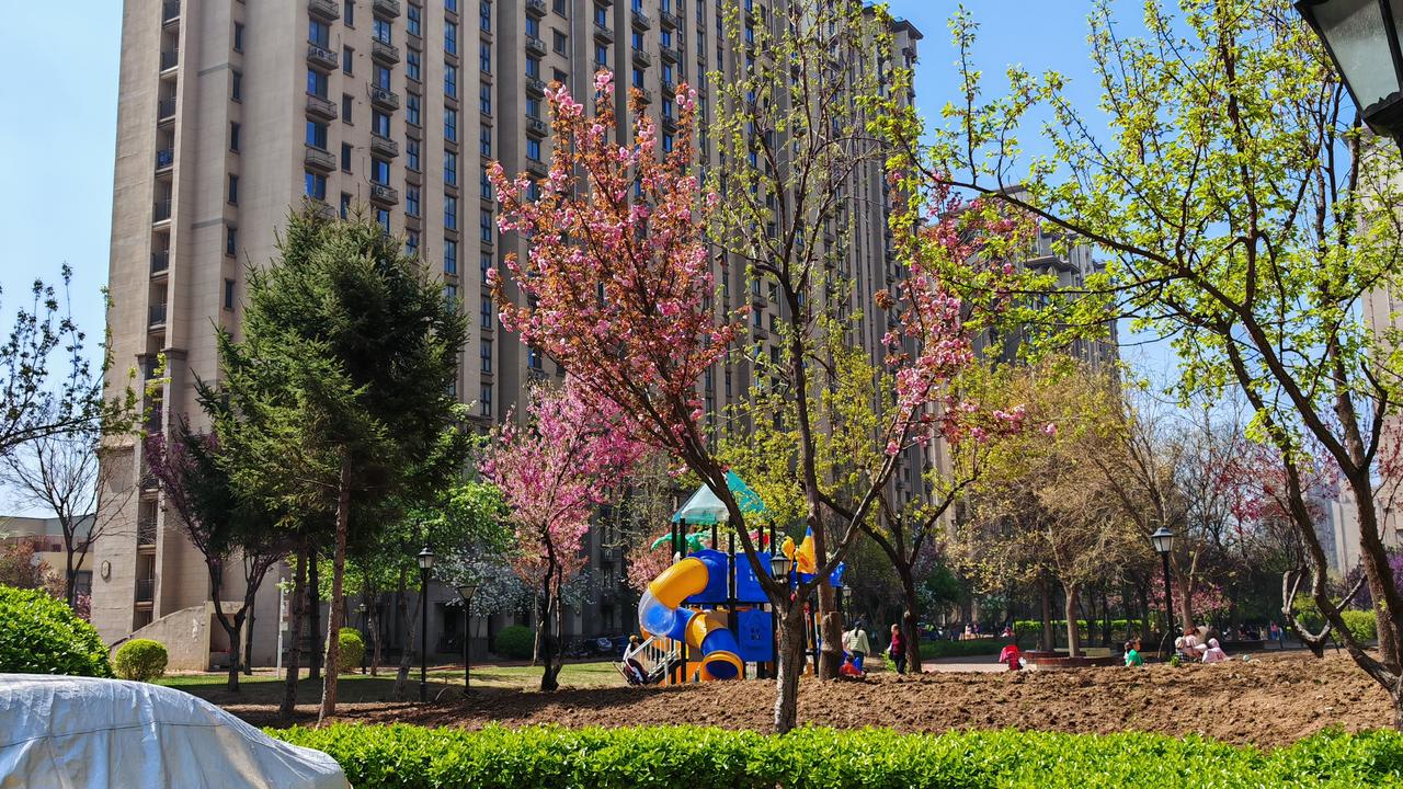 清晨一拉开窗帘，瞬间被小区眼前的景色治愈了。
哇，好美呀，让人顿感心旷神怡。
