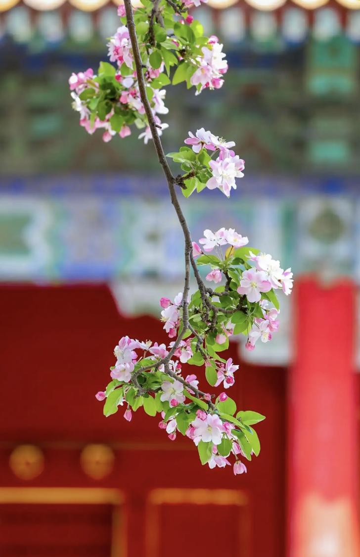道家有个说法，叫“天不渡人，以苦为舟”
你不是在受苦，你是在还债——
还前世欠下
