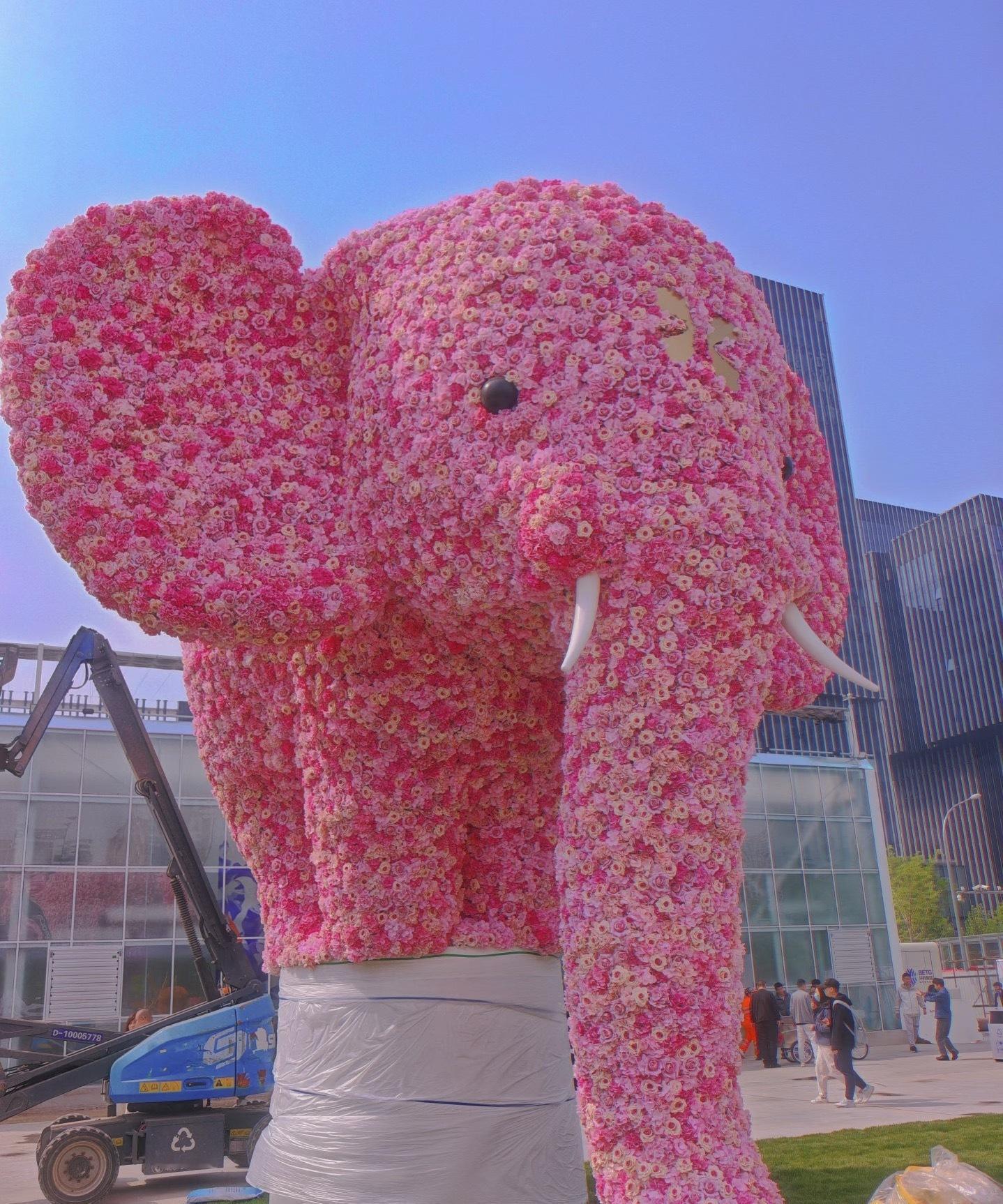 花展最全打卡指南来了北京花境一步一景太美了2026北京国际花展，落座丽泽，现在还