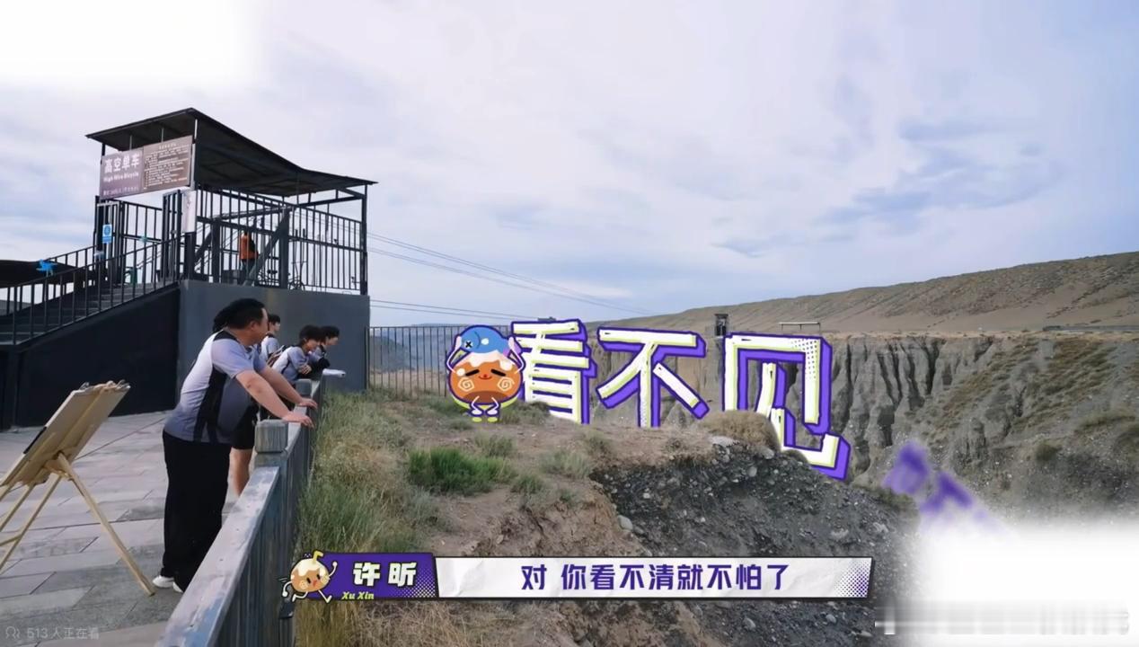 许昕说张泽禹无知者无畏张泽禹视力最好但恐高这段对话笑点直接拉满😂许昕调侃无知者