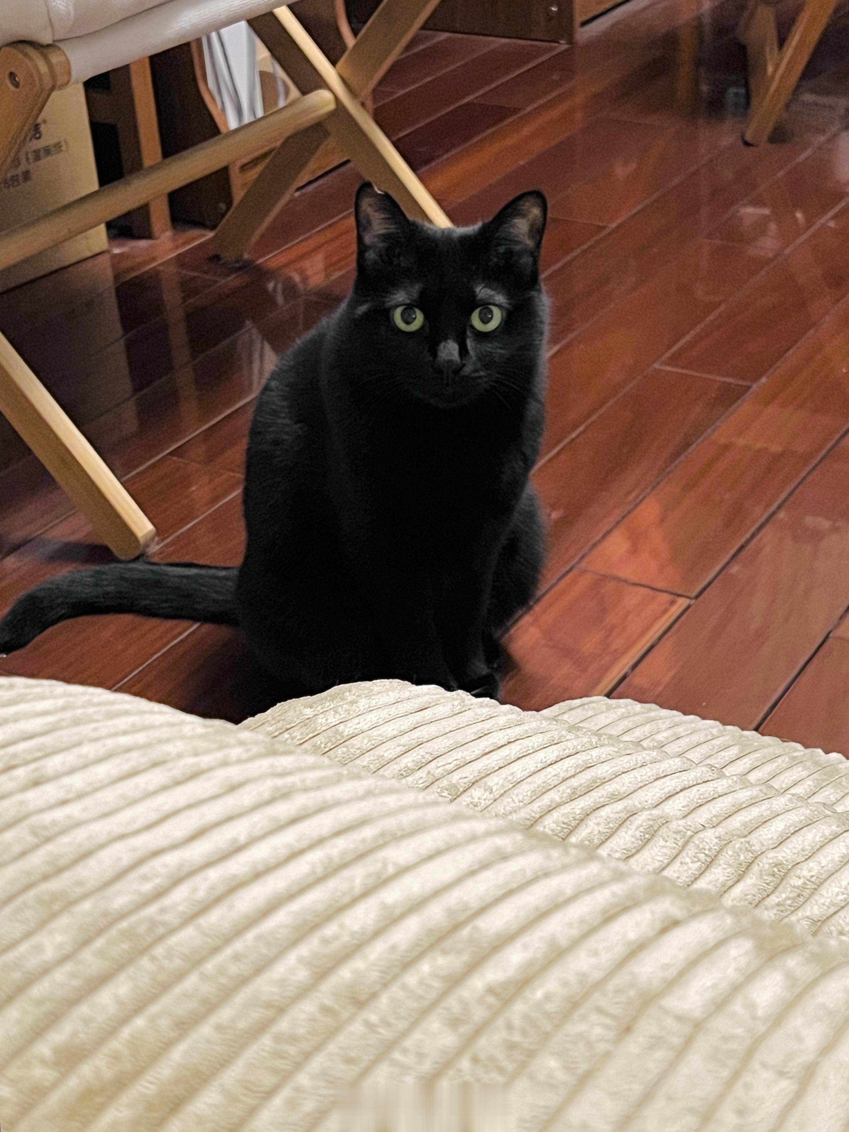 白眉道長。#蝦蝦不可以太可愛# ​​​