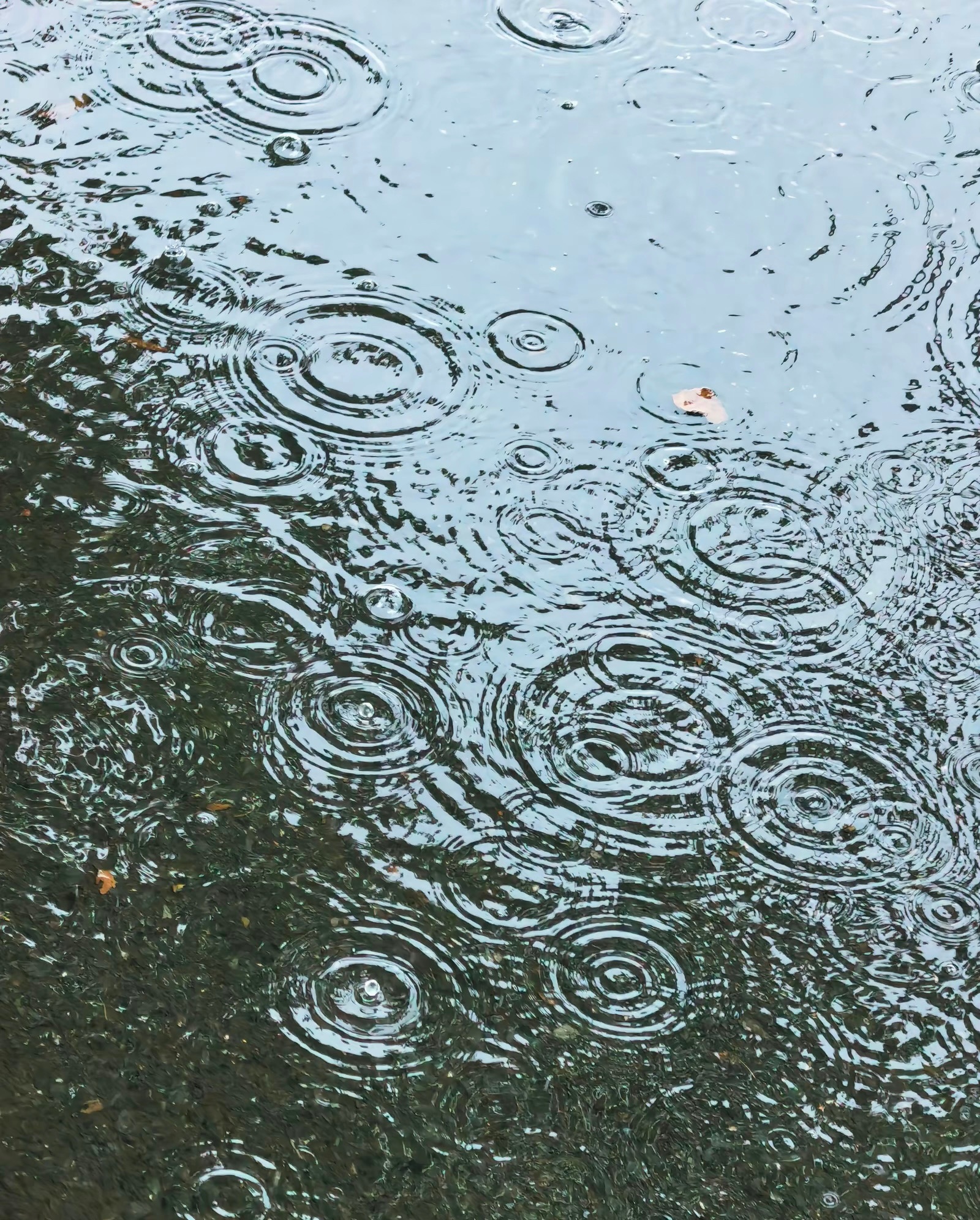 最近雨没断过，下楼买烟，看到地上的雨水，想起了林俊杰《江南》中的歌词，圈圈圆圆圈