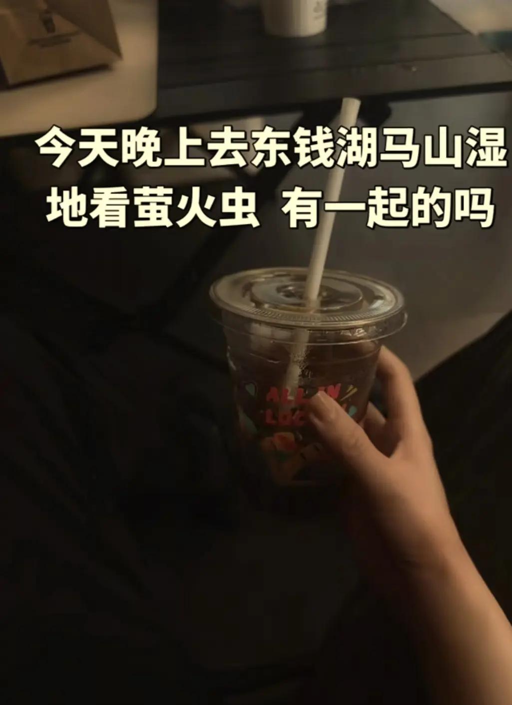 萤火虫搭子