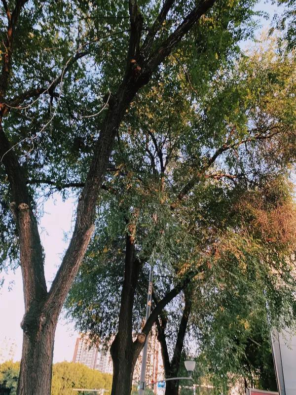 人的一生求什么，还真没有标准答案。有人一生就求个安稳，有温饱、健康的身体、稳定的