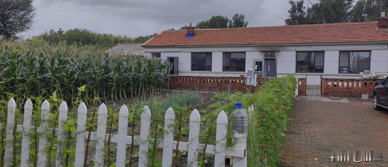 #万能生活指南#东北的九月，已经是秋天。早起的时候要穿外套，睡觉的时候要关好窗。