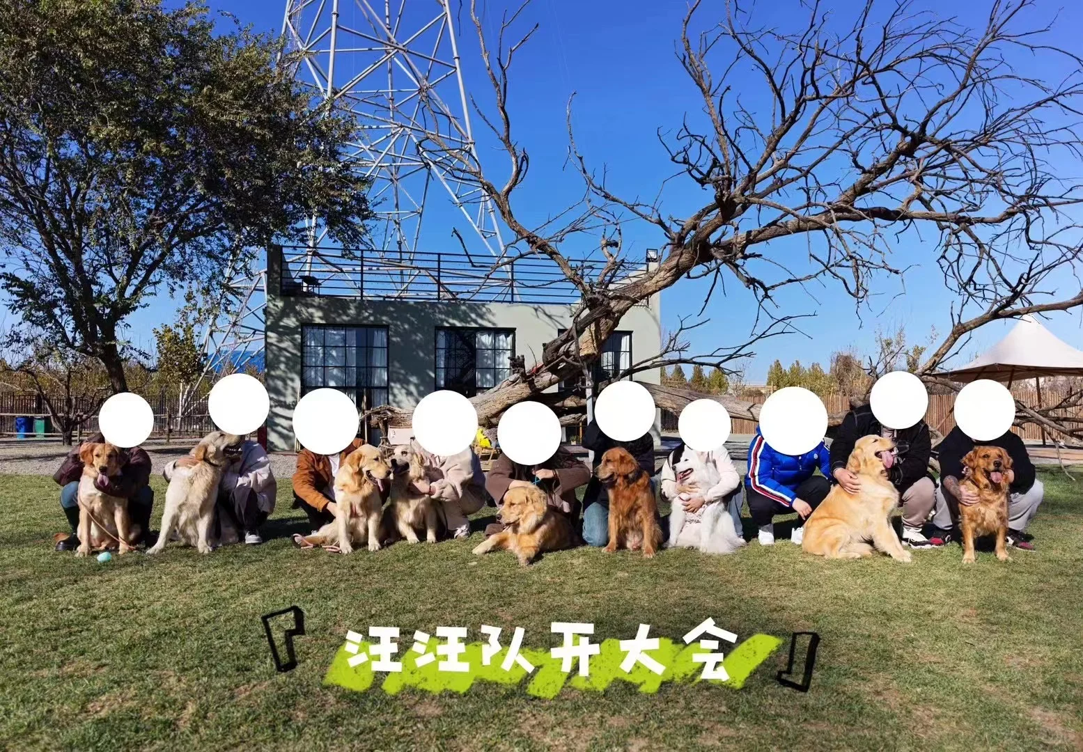 坐标北京 | 汪汪队开大会🐕