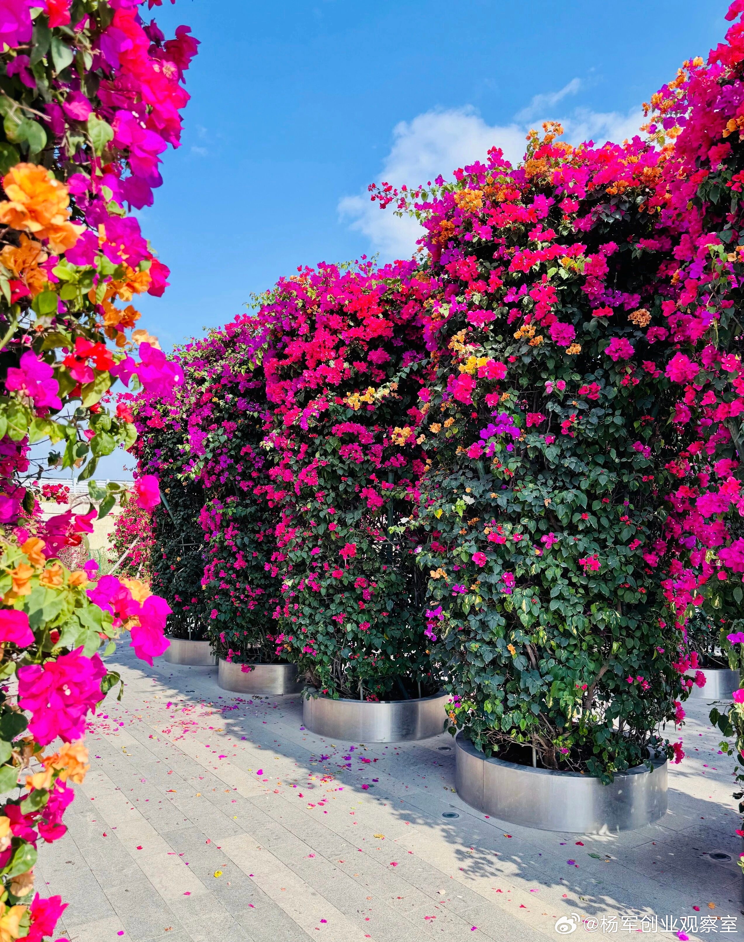 并购避坑指南：一张清单，避开那些“早知道就好了”的雷区许多看似完美的交易，最终因