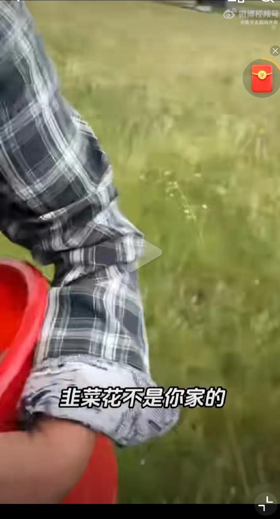 你没立牌子告诉别人不能采，我们就可以进来采。

呼伦贝尔一牧民发现，自己家用铁丝