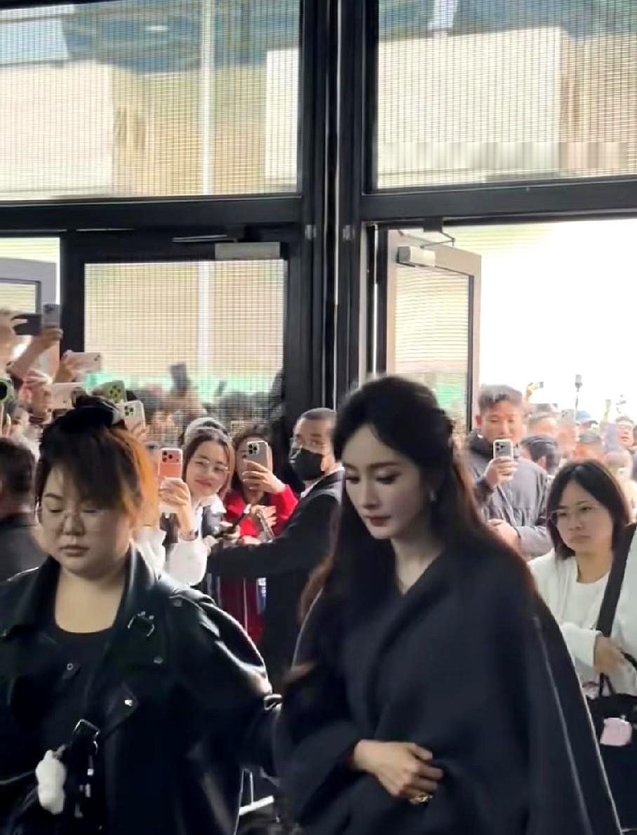 杨幂当上中视协副会长，这事儿不简单。

圈里人这才反应过来，她早就不是那个只会被