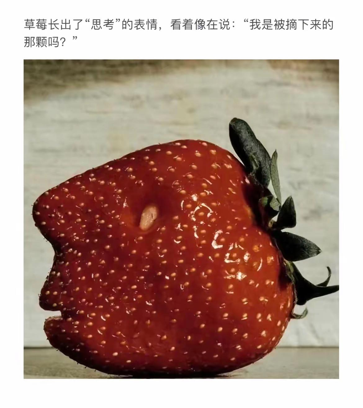 草莓的“思考”表情，像在说：“我是被摘下来的那颗吗？”🍓🤔这颗草莓呈现出类似