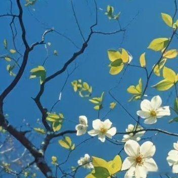 每日一善[超话]‍每日‎一善阳光‬‬信用‬阳光信用 每日‎一善 0000真正的强