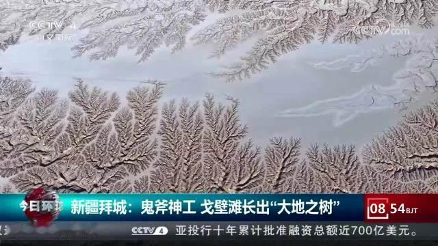 在塔克拉玛干北缘的拜城腹地，温巴什乡的冻土正上演着造物主的即兴创作。零下二十度的