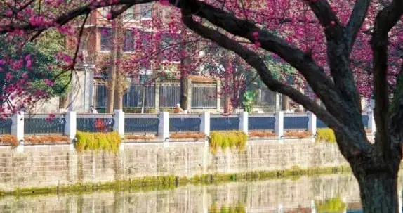 全成都上线一个“护河”新身份，速领！