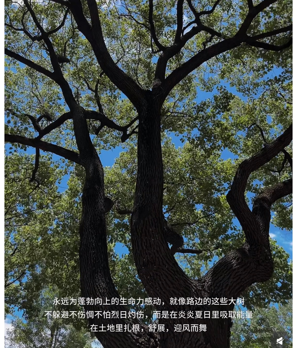 原来明媚又开朗的女生是这样的  不纠结内耗，接纳自己的不完美。眼里藏着细碎光亮，