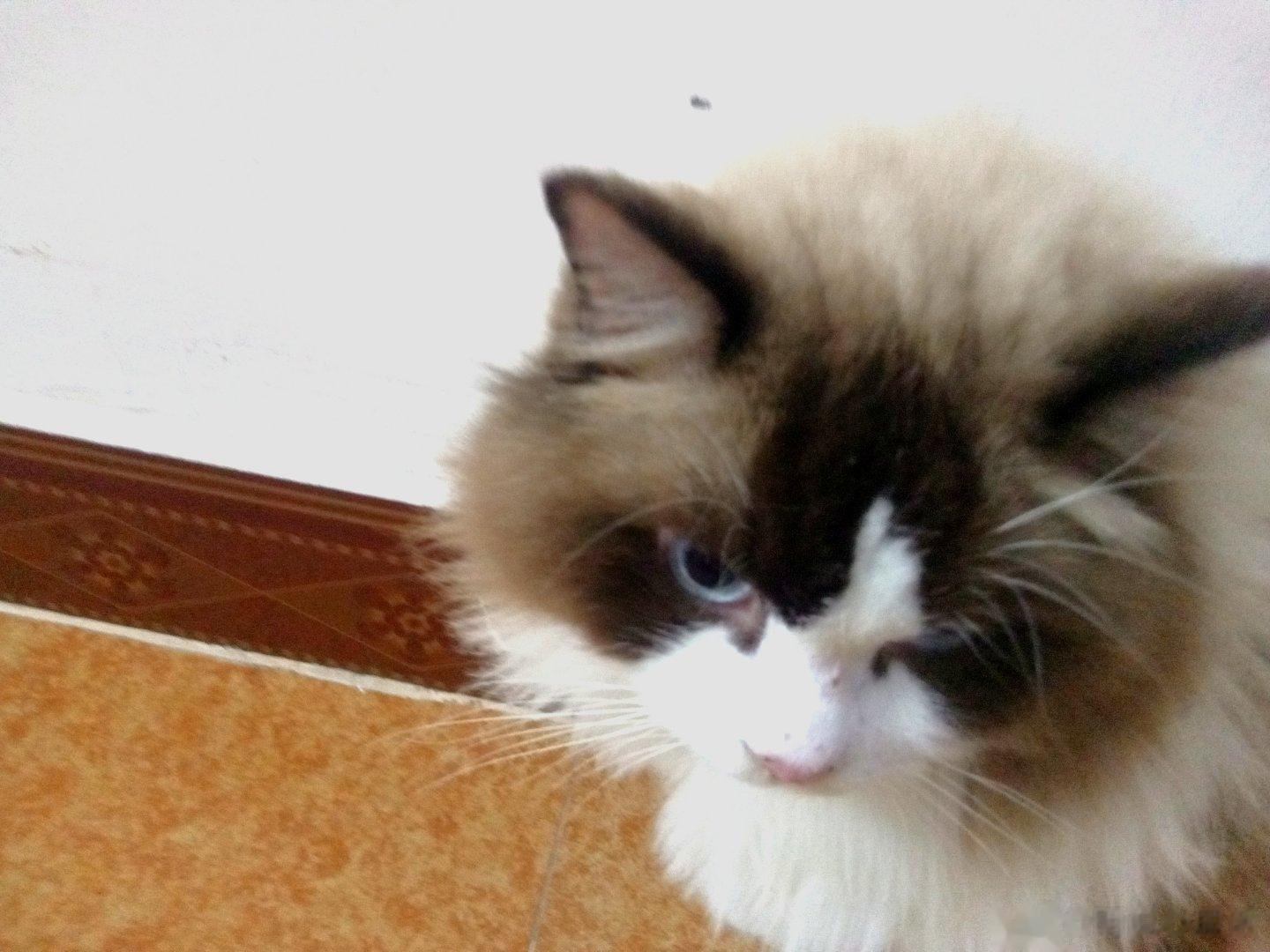 #青春留不住#  留不住的岁月，留不住的青春，留不住那份曾经的擦肩而过，唯一能留