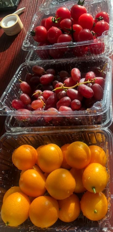 午后的阳光斜斜洒在桌上，刚买的小番茄、红提还有金桔码得整整齐齐，红的红、黄的黄，