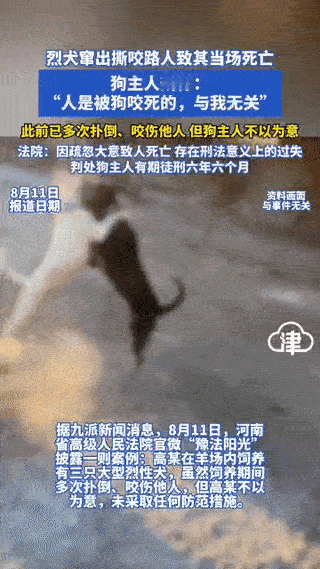 太可恶了！河南，一男子养了三头狼狗，曾多次伤人，然而，男子却不在意，仍不采取任何