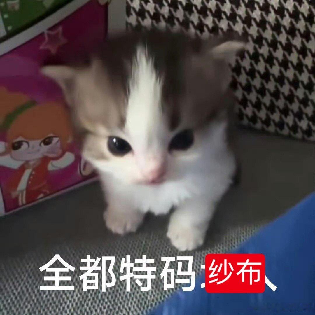 跪求抖音不要再给我推出轨男主和哑巴女主的文🙏