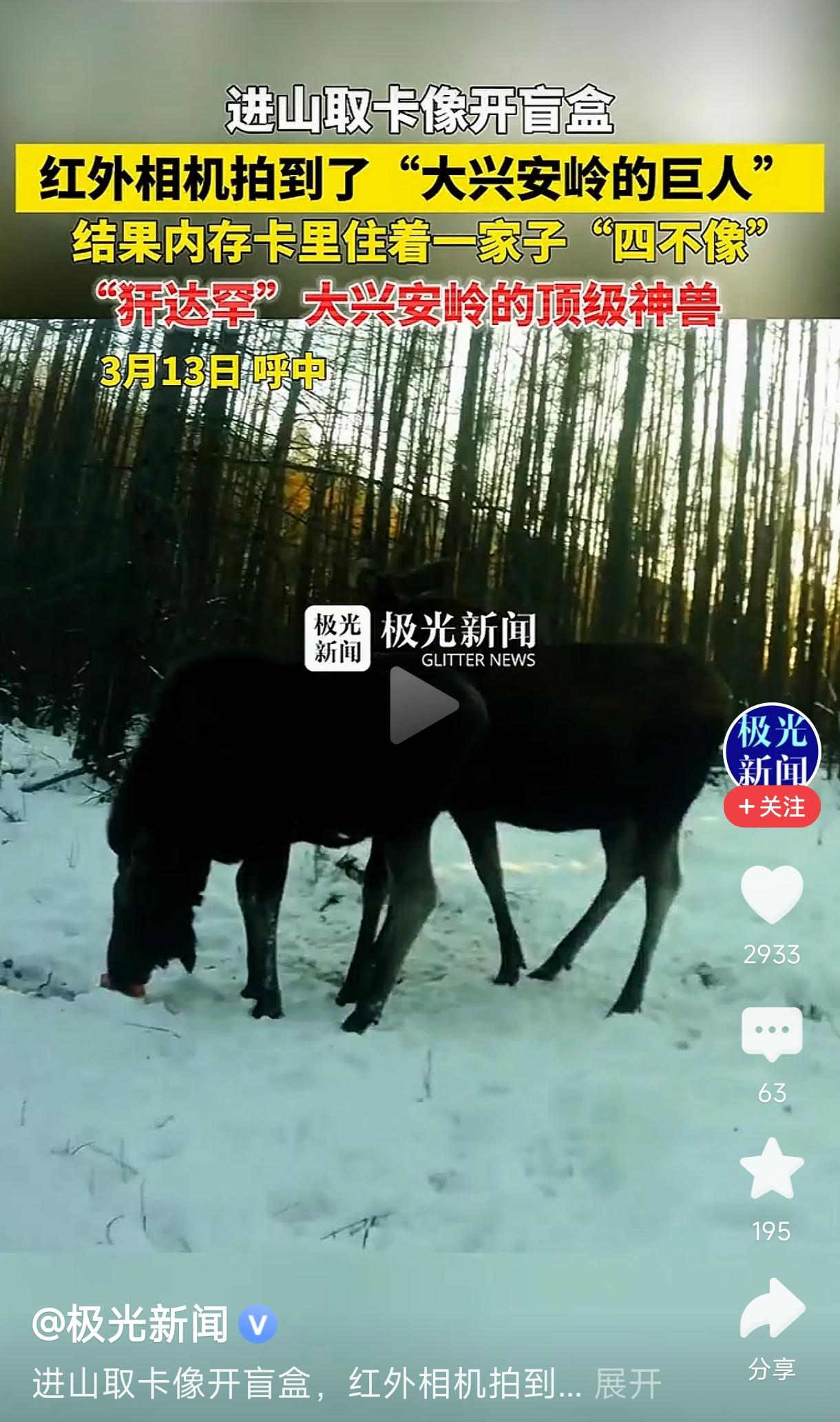 红外相机拍到一家子“四不像”
         这则新闻讲的是在大兴安岭地区使用