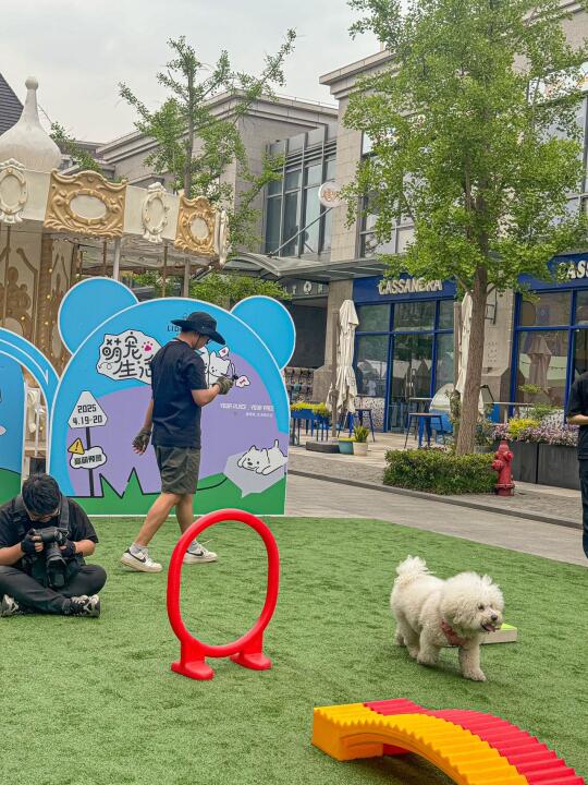 夏都小镇，毛孩子的春日狂欢！