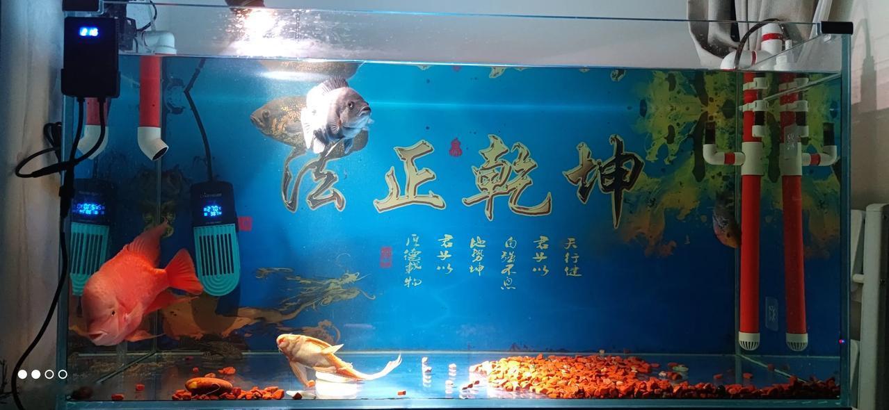 实习律师第131天
        温和的律师让人如沐春风。
        今