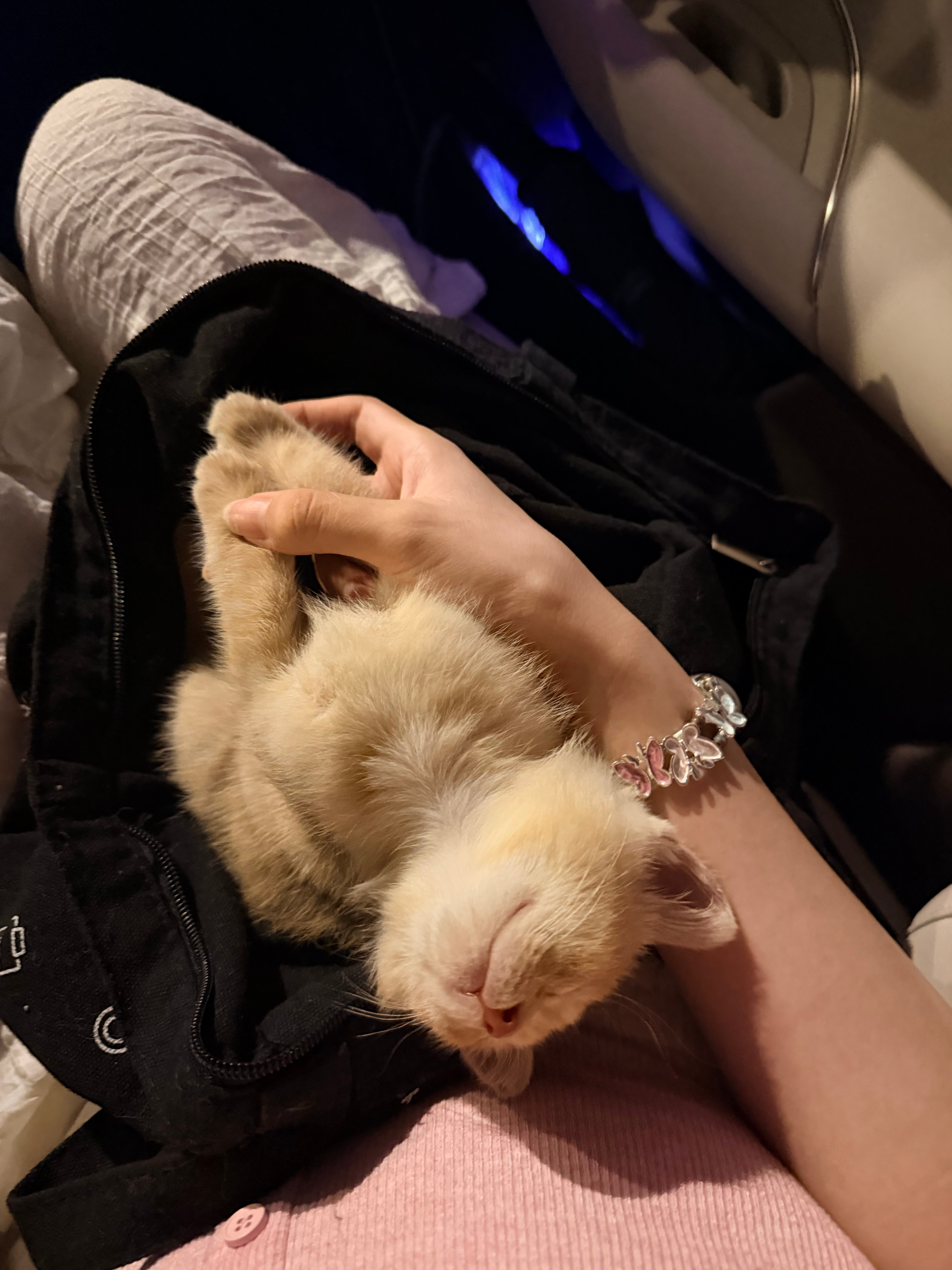 晚安～玛卡巴卡