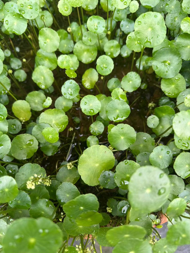 阳光信用  阳光信用 互动打卡 决心化为行动，产生结果，才具有意义。没有行动的决
