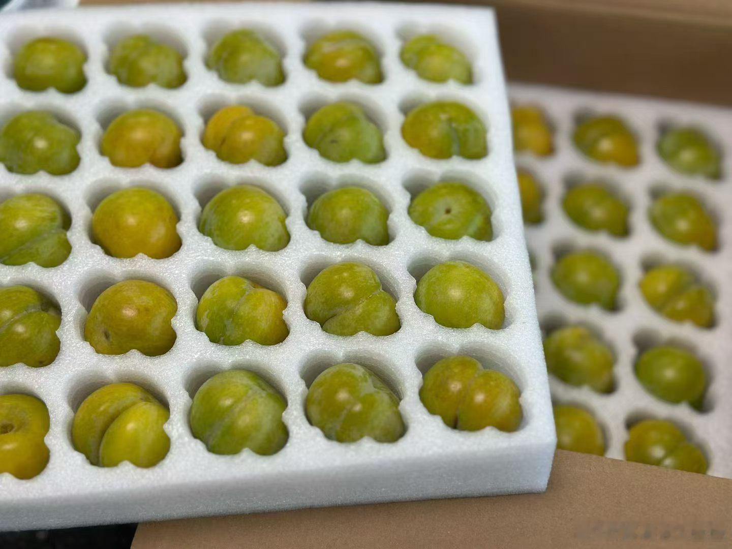 一大早，收到了两箱六马蜂糖李，一箱汉源车厘子。         蜂糖李只吃别人送