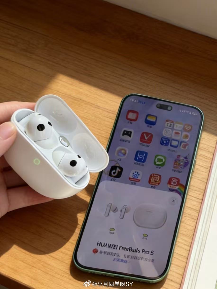 你听过最离谱的空耳空耳闹乌龙险扔猫，好在华为FreeBuds Pro 5降噪给力