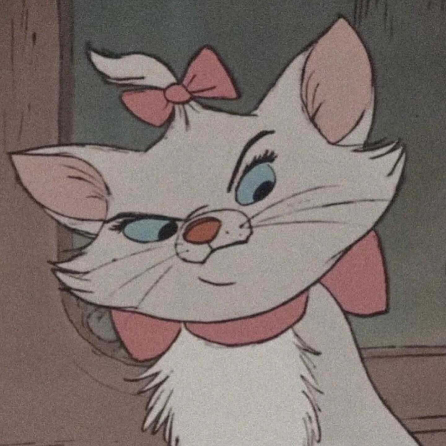 分享一组傲娇生气╰_╯玛丽猫🐱头像~ 