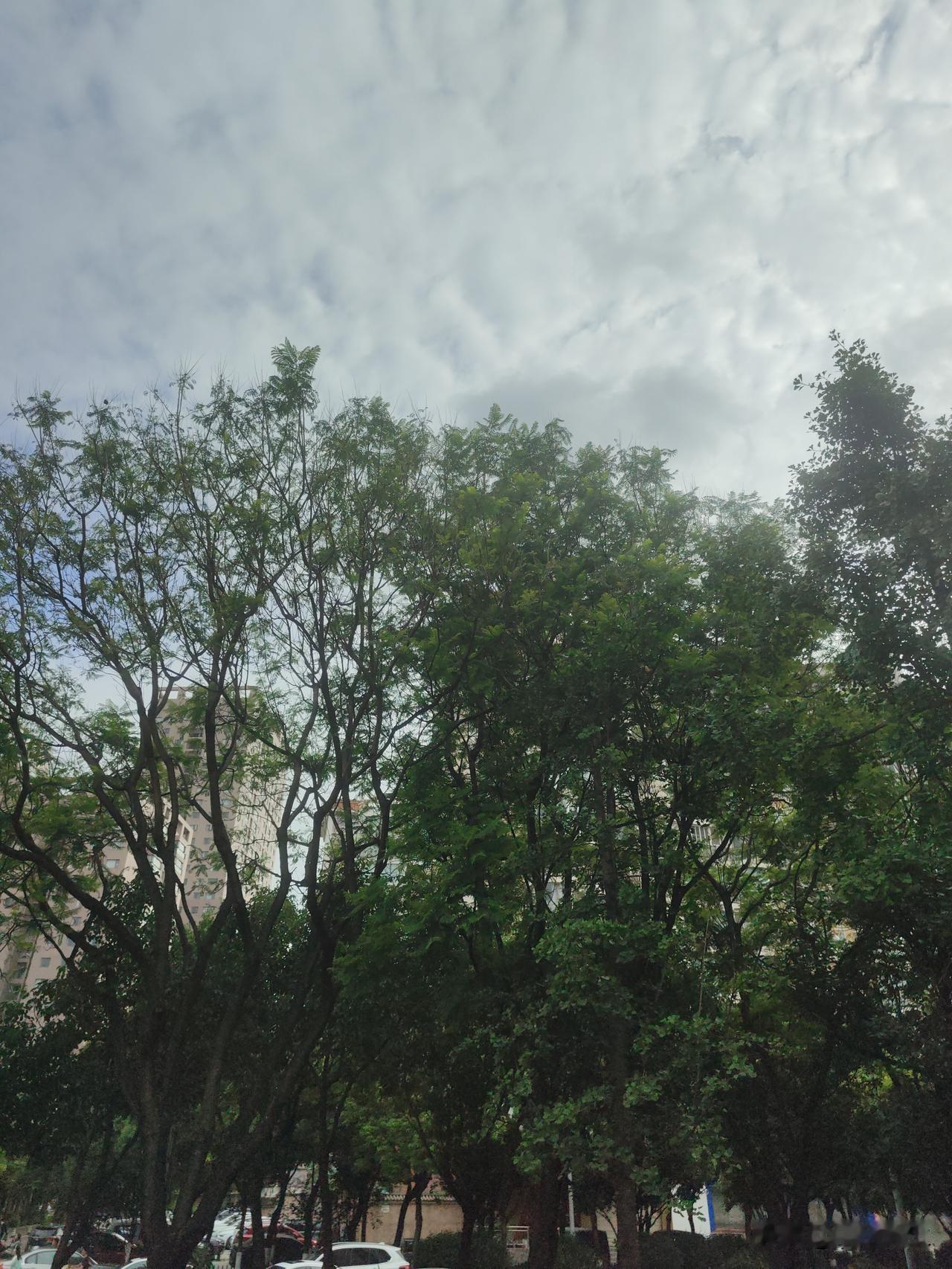 晒图笔记大赛天气不错