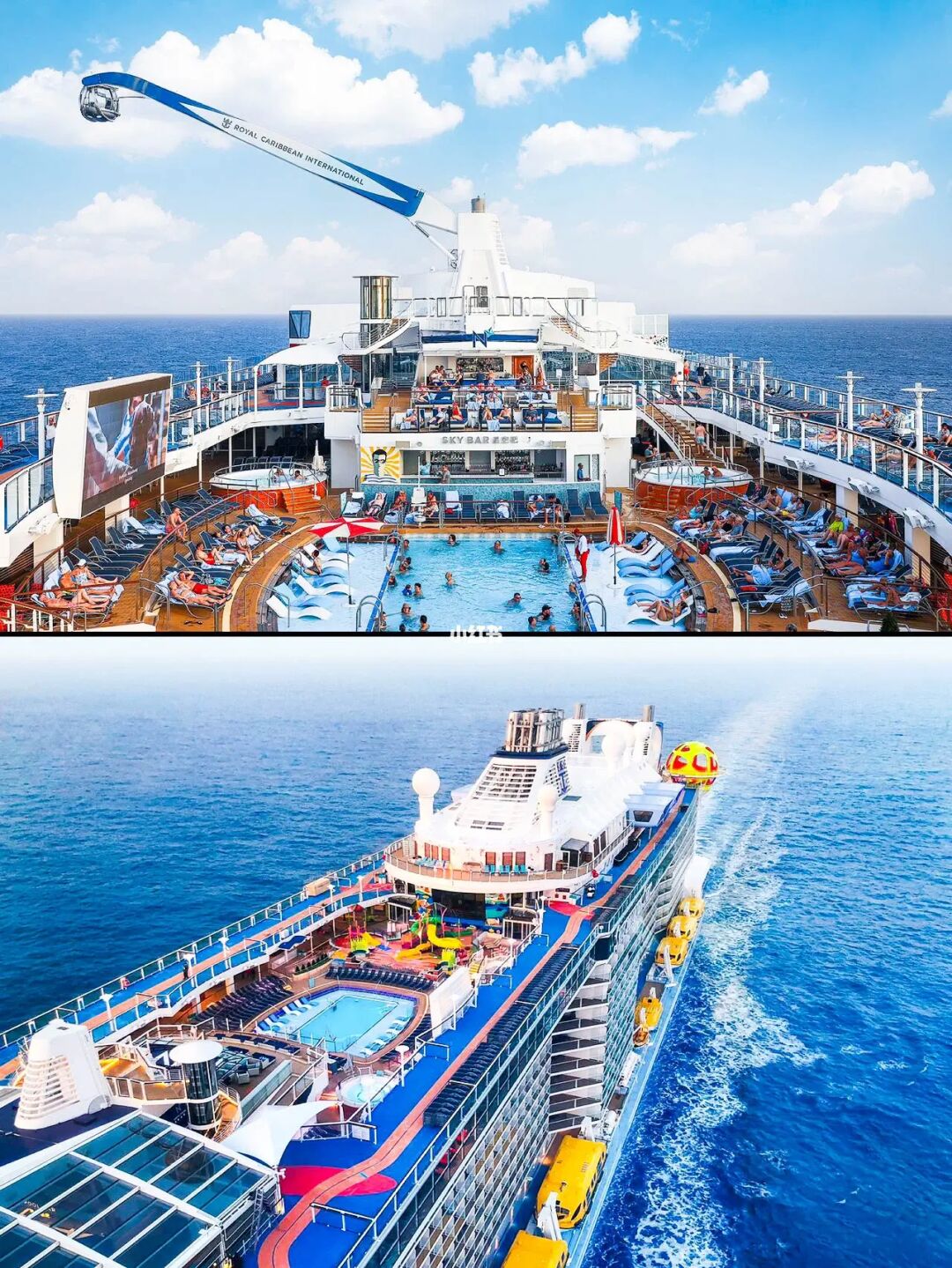 航海路程上的惊喜🚢坐上全宇宙超哇塞的邮轮