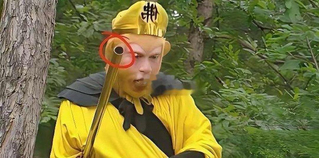 小时候只顾着看猴了 