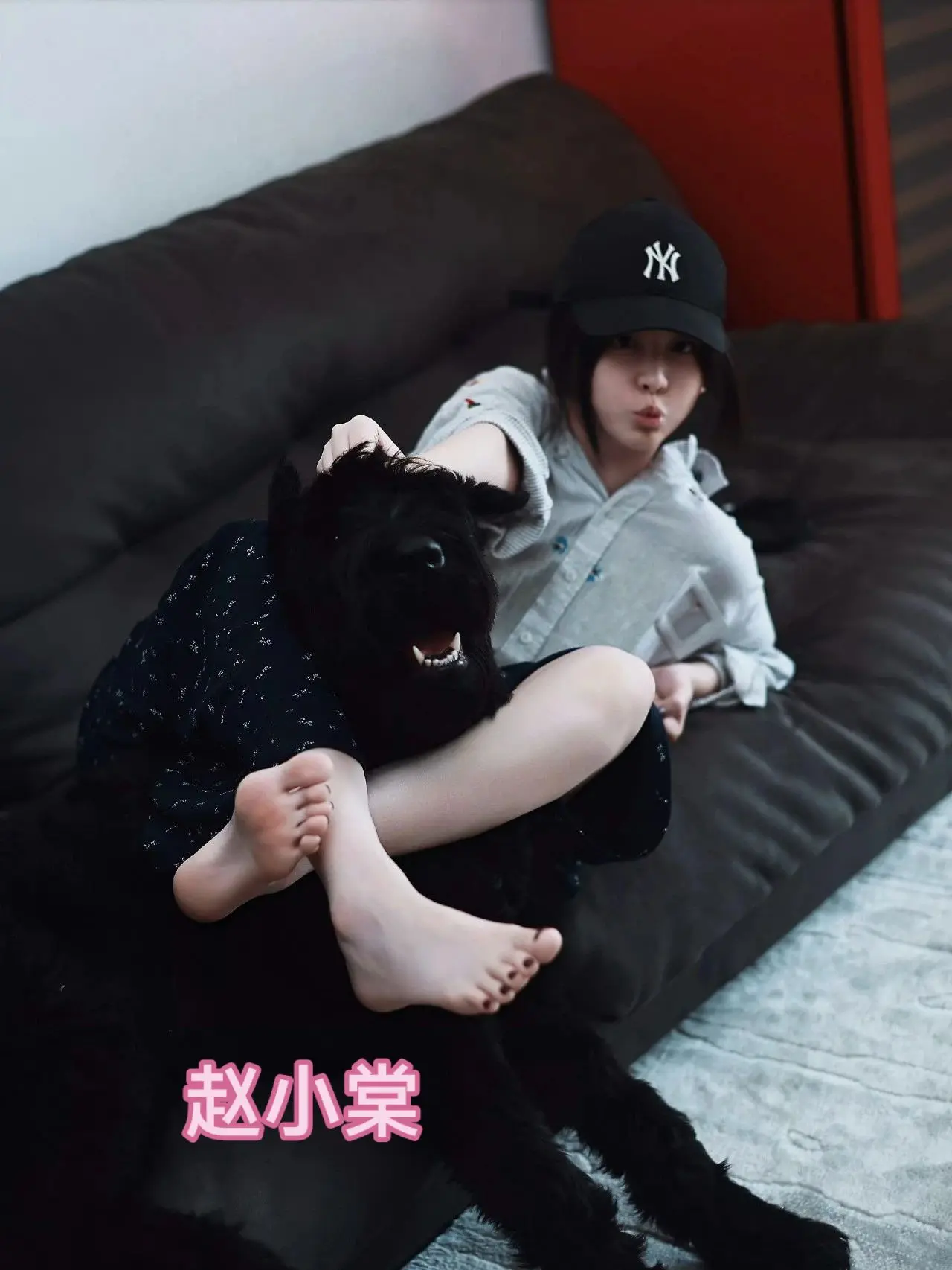 赵小棠。