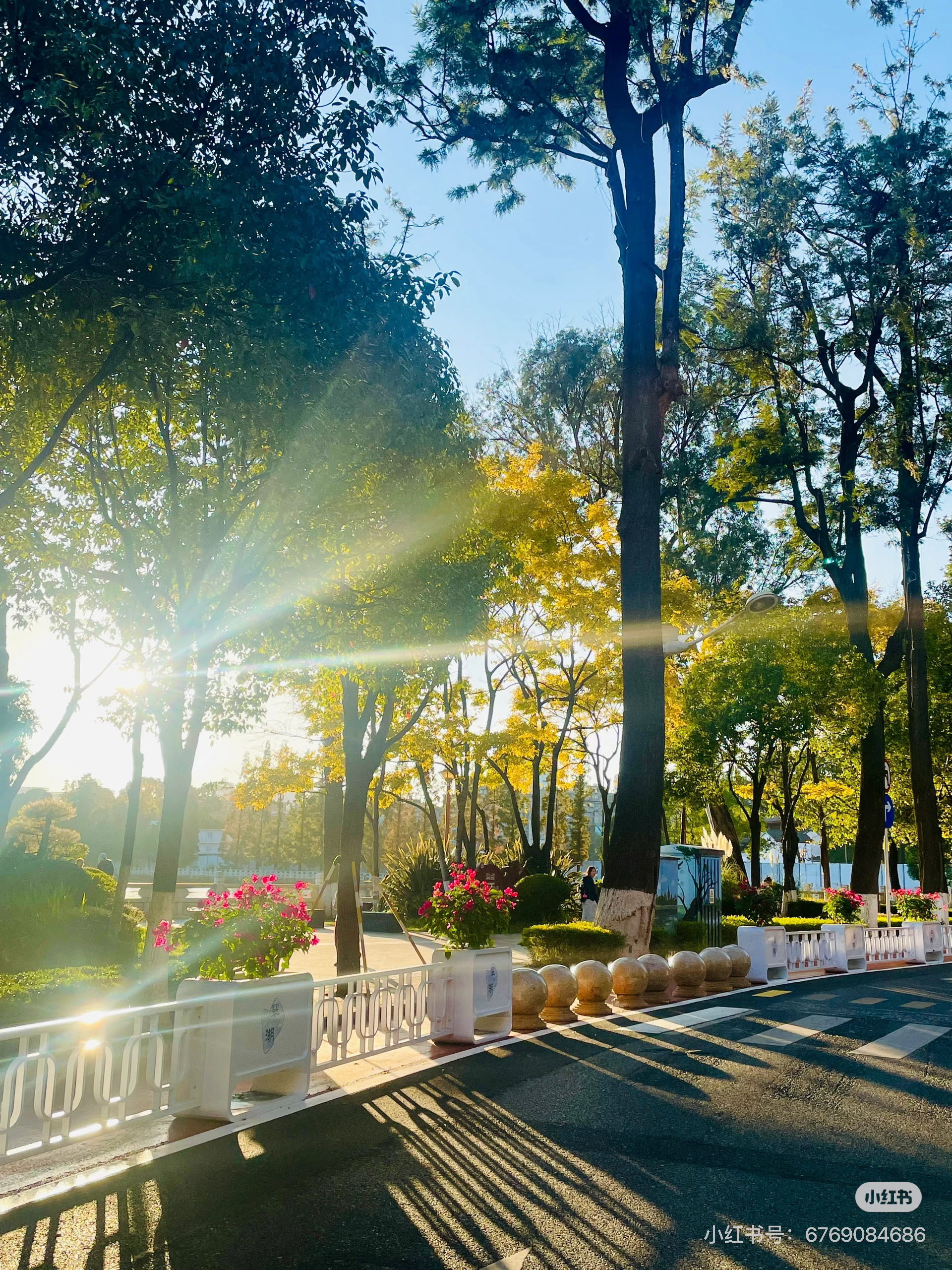 读书可以让人生变得更辽阔我的私人宝藏书单书评 把生活那些细碎的美好，都一一捡起来