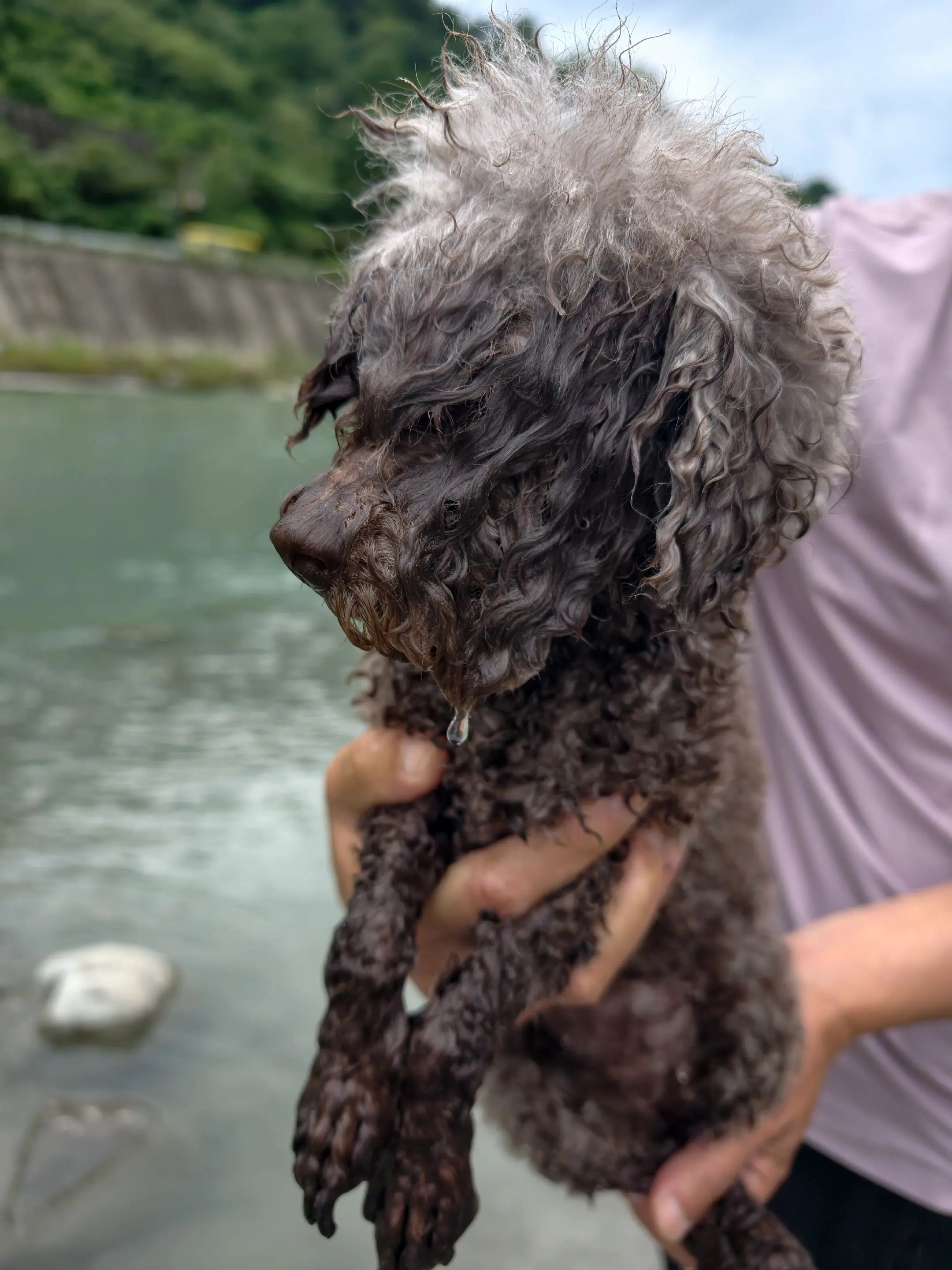 玩开心了