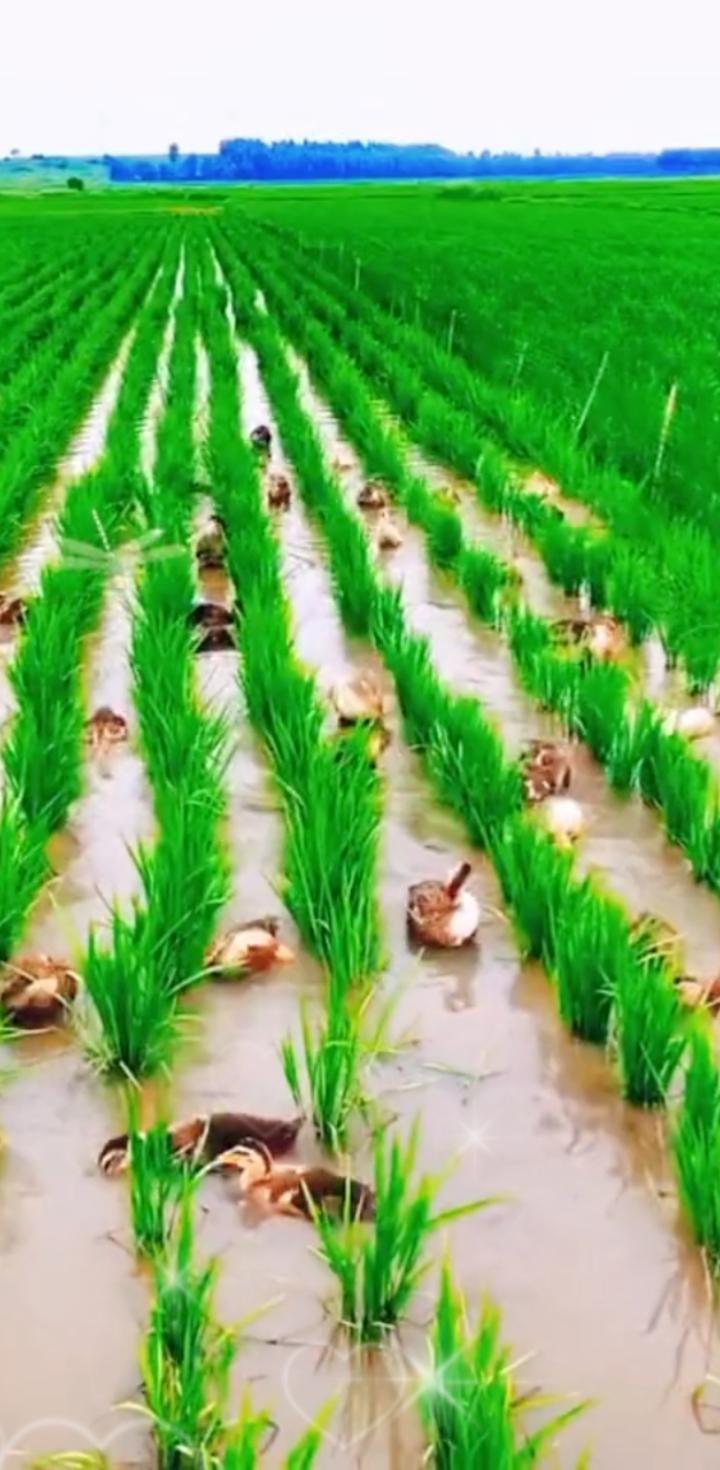 俄军空袭对乌克兰民生影响极大。6月9日深夜到10日清晨，俄方发动大规模空袭，动用