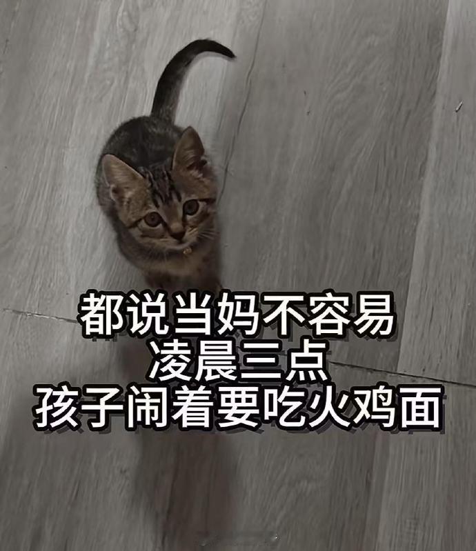 猫：请苍天辩忠奸 